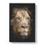 Face of a Lion - Wrapped Canvas-61881758