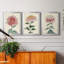 «Chrysanthemum Woodblock I», ensemble de 3 peintures sur toile encadrées-1694466990-1694466987