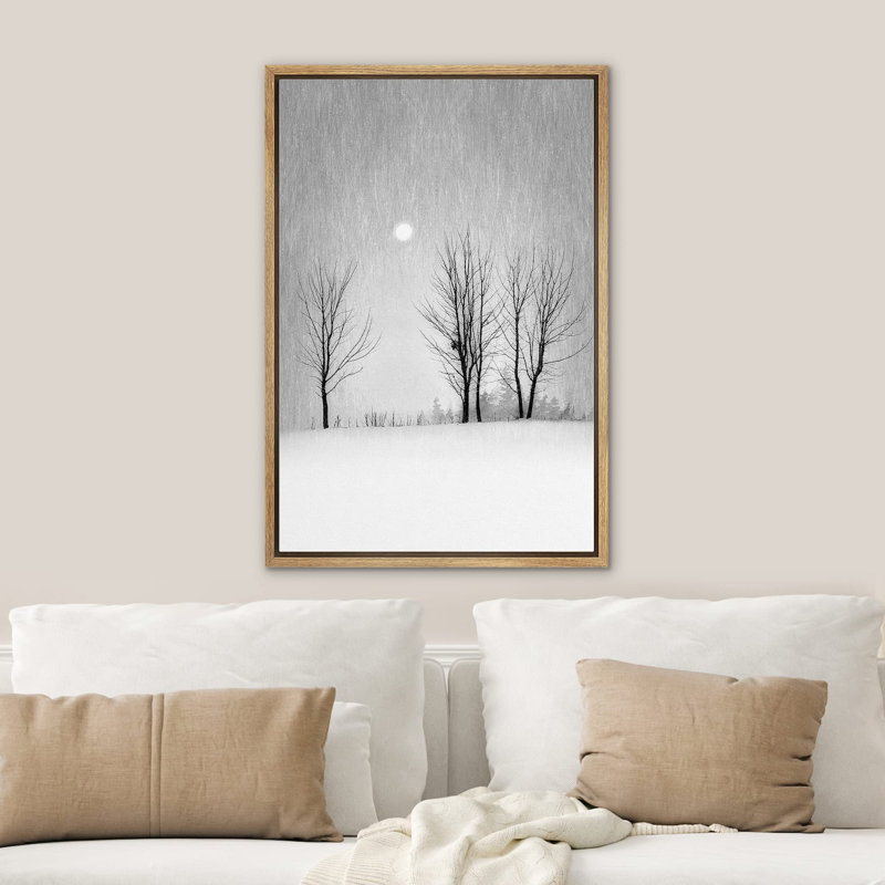 «Black and White Winter Snow Trees» sur, H 36 po x l 24 po, Cadre flottant naturel