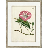 Medium Antique Blush Floral II Painting