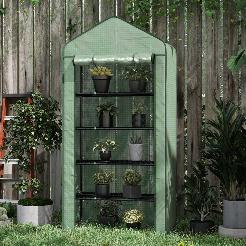 Belden 5-Tier Widened Mini Greenhouse With Steel Frame And PE Cover