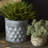 Potomac Handmade Pot Planter-55830366
