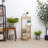Jahquel Weather Resistant Plant Stand-317066133