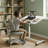 Movable Desk (White)