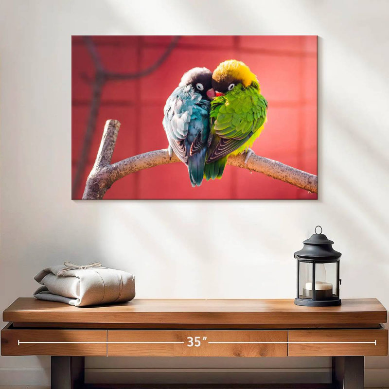 Brampt Lovebirds Cuddle