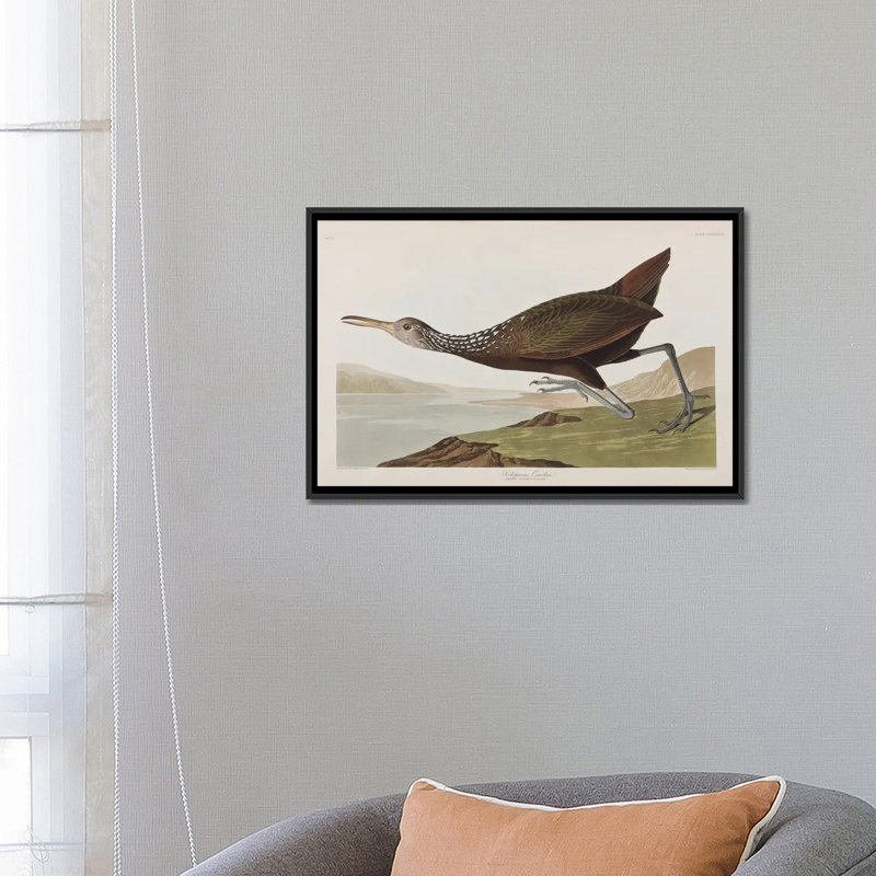 « scolopaceus courlan », impression sur toile, H 18 po x l 26 po x P 1,5 po, Toile avec cadre noir, Non mat