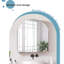 Aaleeyah Wall Mounted Required Bathroom Cabinet