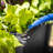 Square Outdoor Resin Planter Box-16442546-29664620