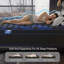 Matelas pour grand lit double hybride 9 po avec ferme en mousse viscoélastique gélifiée dans une boîte 9 po-396564841-392782894