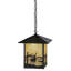 Rustic Lodge 1 - Light Pendant