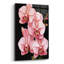 Orchidées roses sur fond noir »par Momart, verre acrylique, art mural-299773256