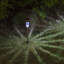 Stainless Steel Low Voltage Solar Powered Integrated LED Pathway Light Pack