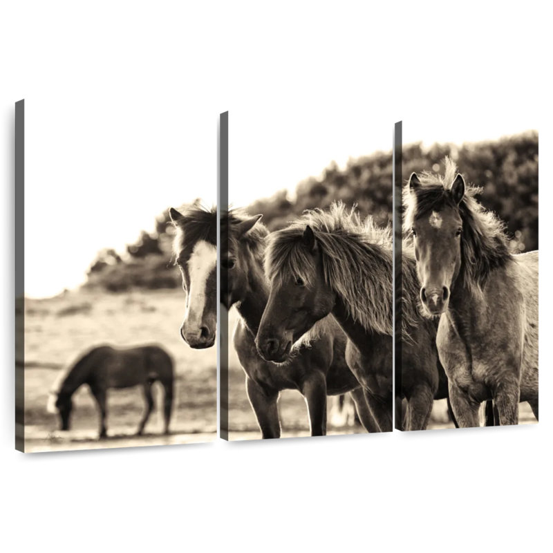 Horses Three Sepia, 24" H x 38" W