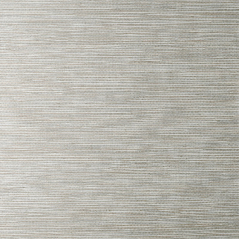 Aluta Neutral Plain Wallpaper, Gray