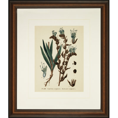 Verde Tinted Botanical III Print