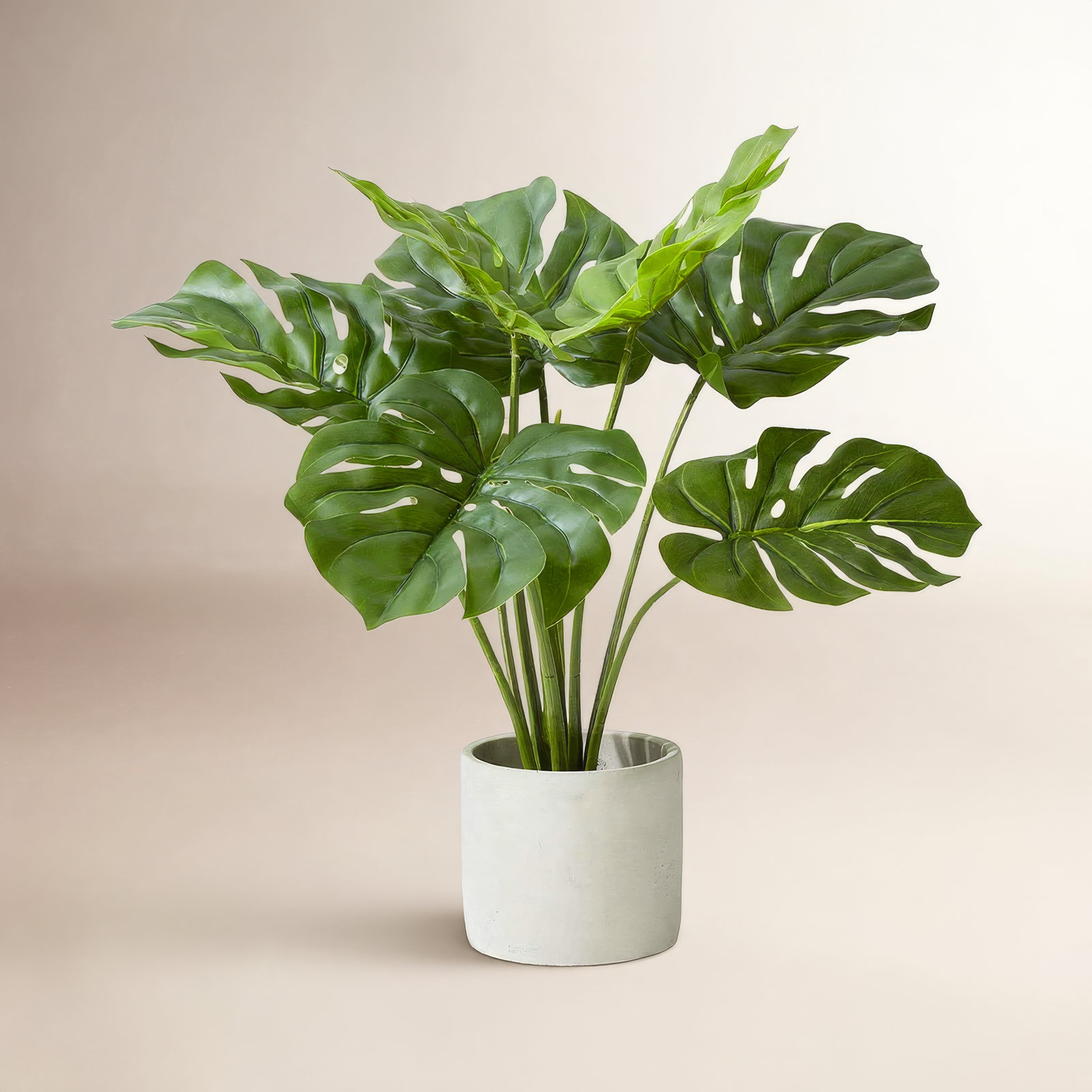 21'' Faux Evergreen Plant in Cement Pot, 8