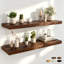 Ensemble de 2 tablettes murales flottantes de 9,3 po de profondeur à fixation murale-689890996-686326001