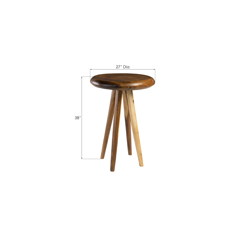 27" Modern Chamcha Wood Round Counter Height Pub Table