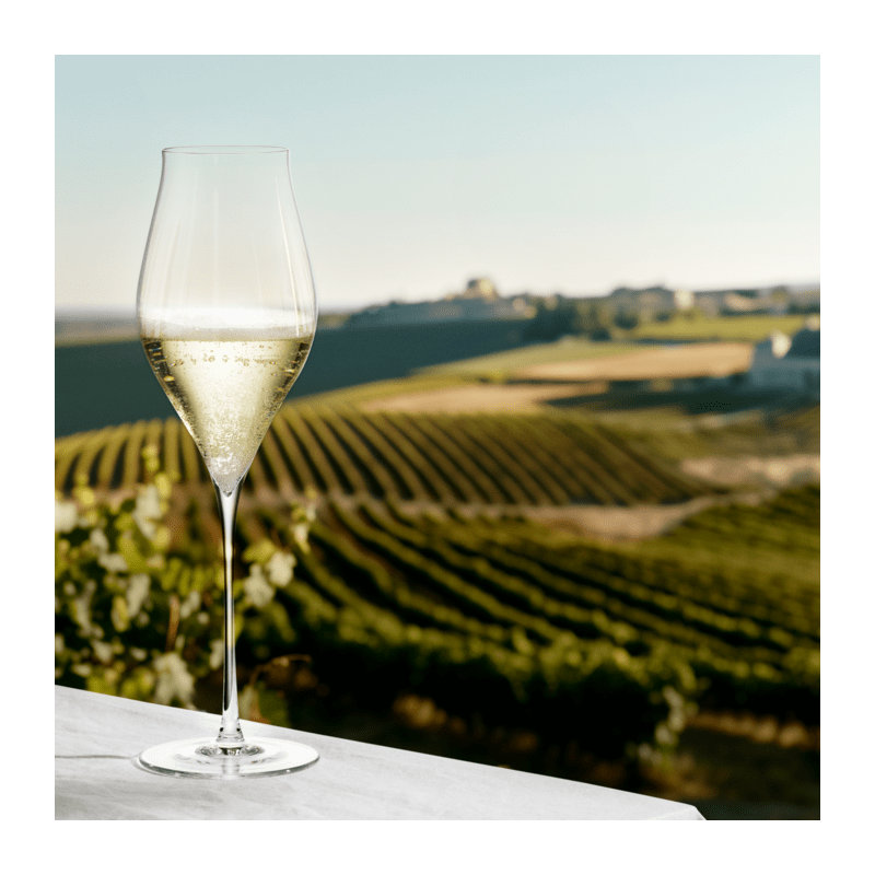 Notes Glassware, 12.8 Oz