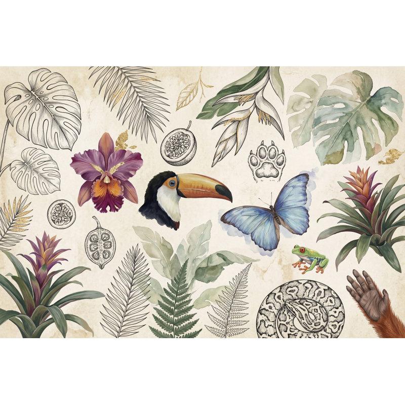 Papier peint tropical avec papillon bleu Toucan, Texturé non collé, 160 po x 108 po