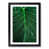 Black Framed selected