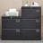 2 Drawer Metal Lateral File Cabinet With Lock