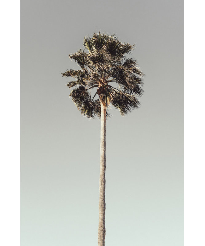 Wrapped Canvas Print, 76.2cm H x 50.8cm W