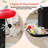 Small Flower Cat Scratching Post, Cat Tree With Super Thick Scratching Post, Removable Flower Cat Bed & Spring Ball-697502964