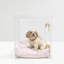 Medium Clear View Pet Crate with Silver Latch, Khaki Cushion-1880050985