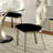 Contemporary 2pc Dining Chairs