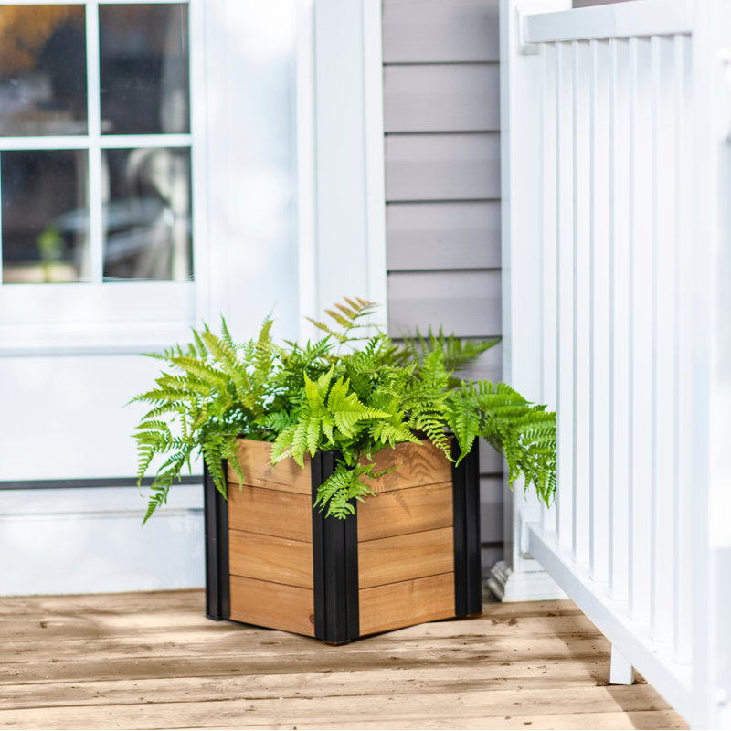 Boîte à fleurs en bois Mezza, H 11,25 po x l 12 po x P 12 po