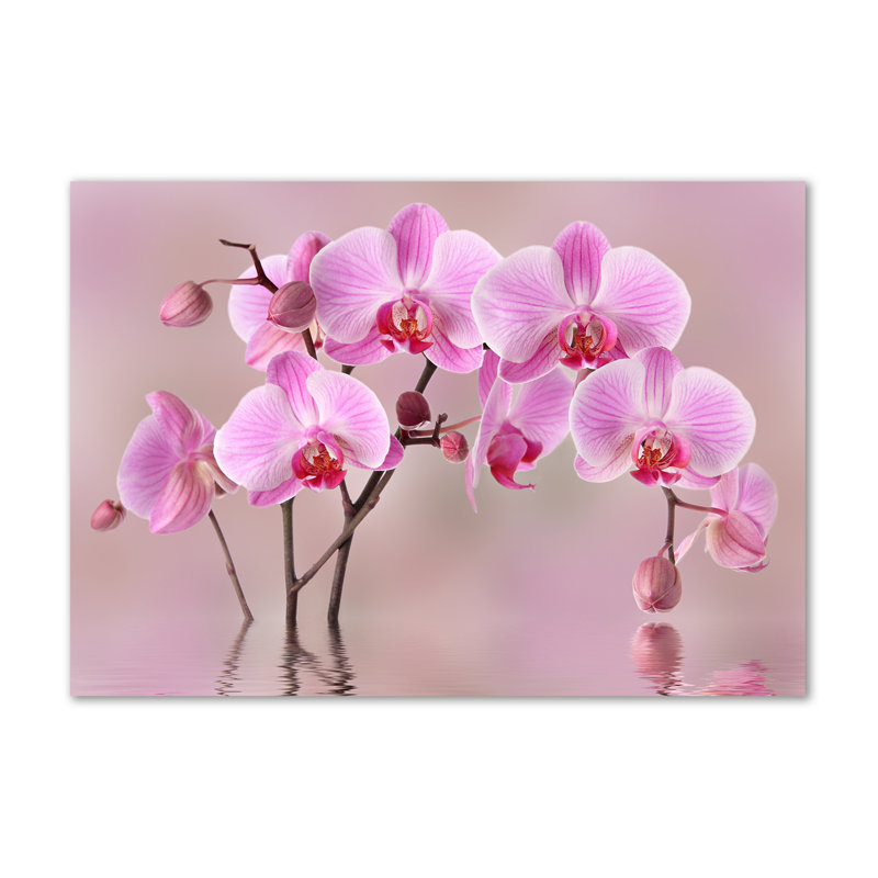 Pink Orchid - Wrapped Canvas Print