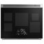 Monogram 36-Inch Induction Professional Range