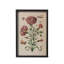 Jardin Boheme Botanical Prints