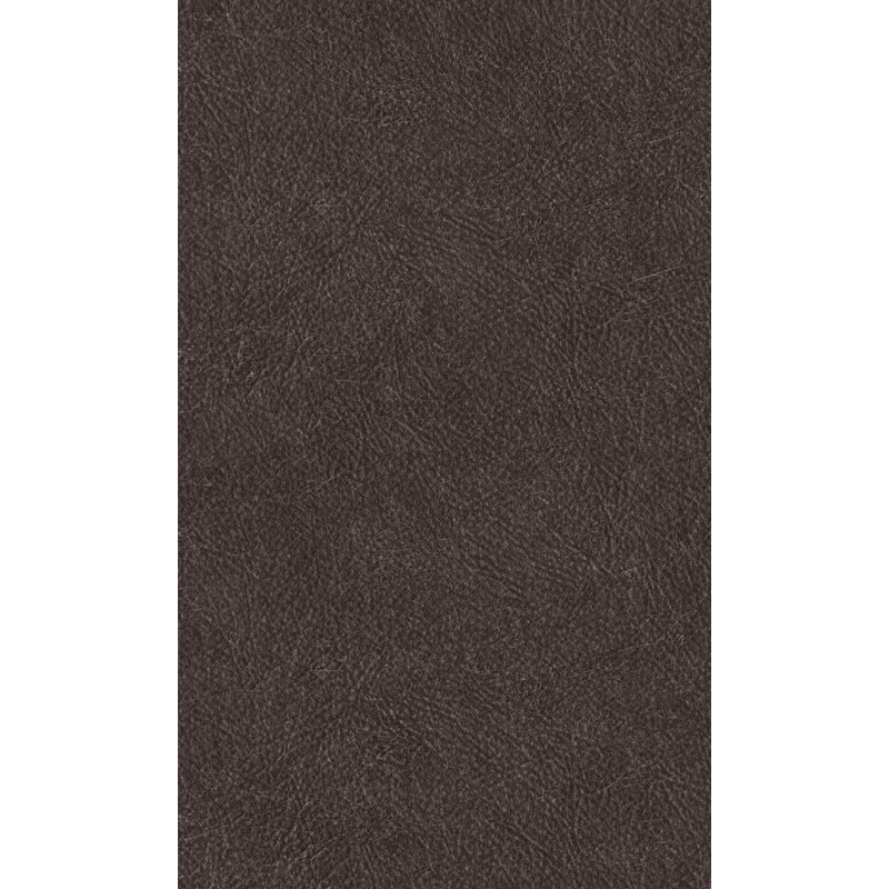 Rouleau de papier peint métallique L 33 pi x l 21 po Lehane, Noir