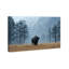 Mountain Bison II Print by Oliver Gal-1938733288-1938733310