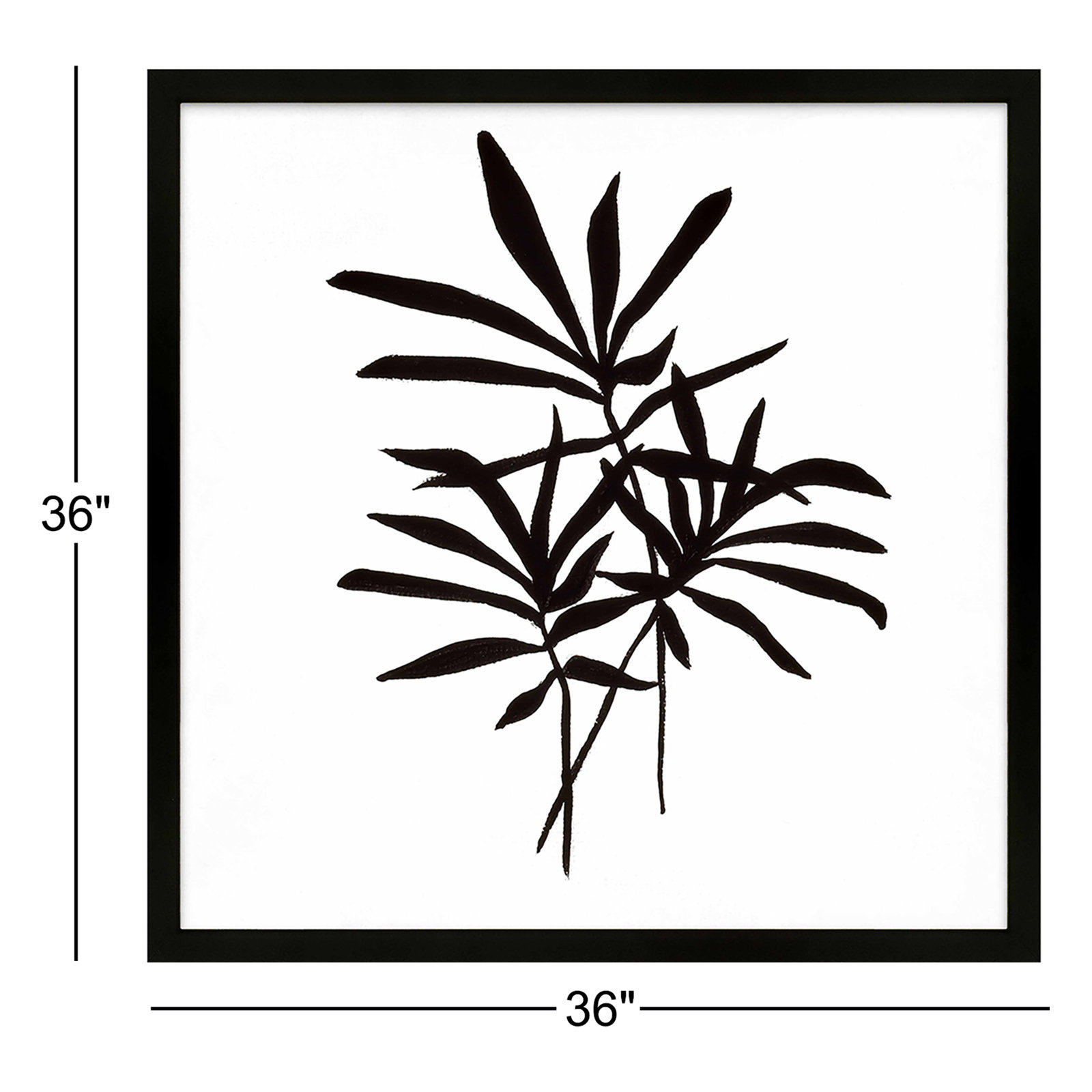 Modern Botanical, Set Of 2 by Lee Lessem, Black Framed Paper, 36" H x 36" W x 1.25" D