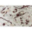 One-of-a-Kind 6'1" X 7'9" Area Rug