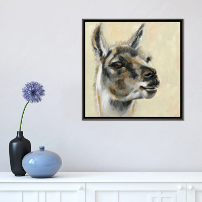 «Llama Portrait» par Silvia Vassileva - reproduction d'art