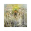 Bee by Stephanie Law - Wrapped Canvas Painting-1635888399