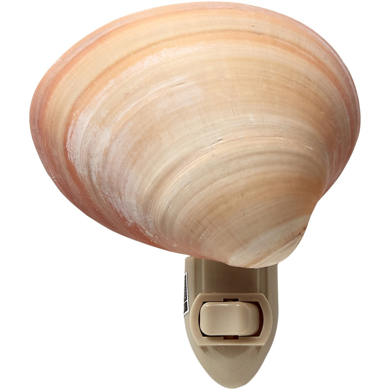 Veilleuse Clam Shell