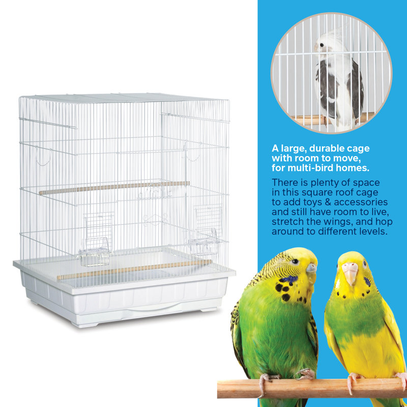 Cage à oiseau avec perchoir 29,5 po Gemma, blanc