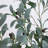 5ft. Lighted Artificial Fruiting Olive Tree with 200 Warm White LED Lights