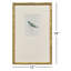 Antique Hummingbirds Framed Art