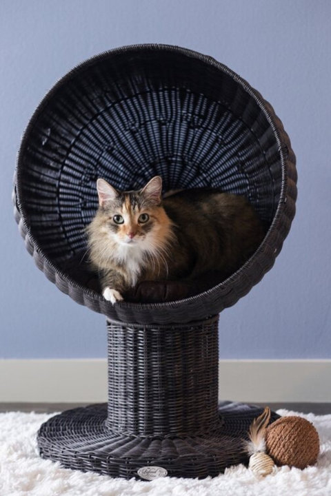 Cat Beds