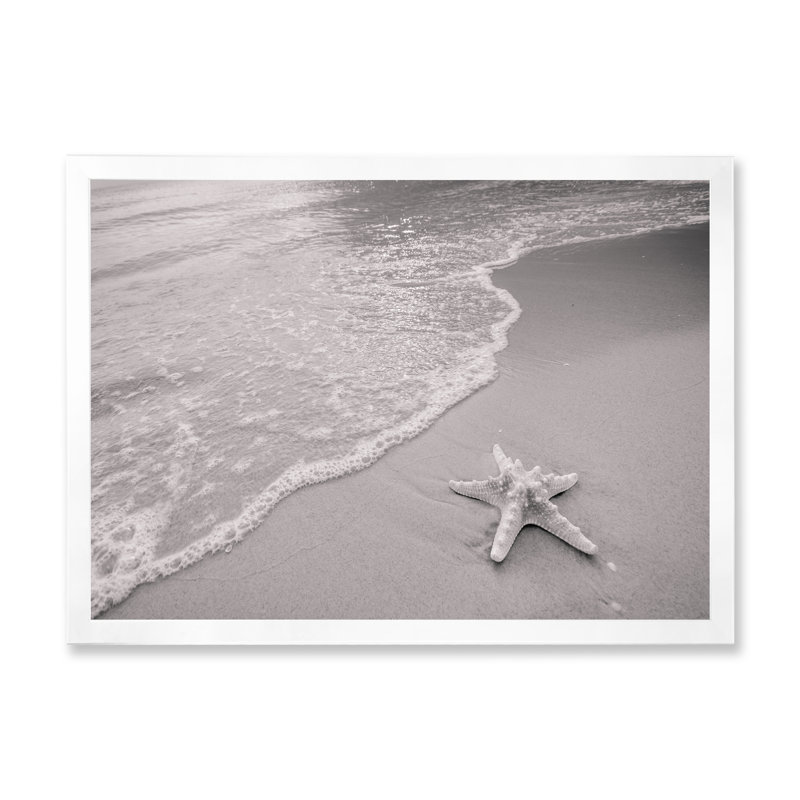 Étoile de mer noire et blanche sur la plage - reproduction sur toile, Cadre de coin blanc fermé, H 24 po x l 36 po x P 1 po