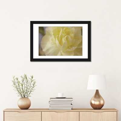 " Rose Whisper I " by Judy Stalus