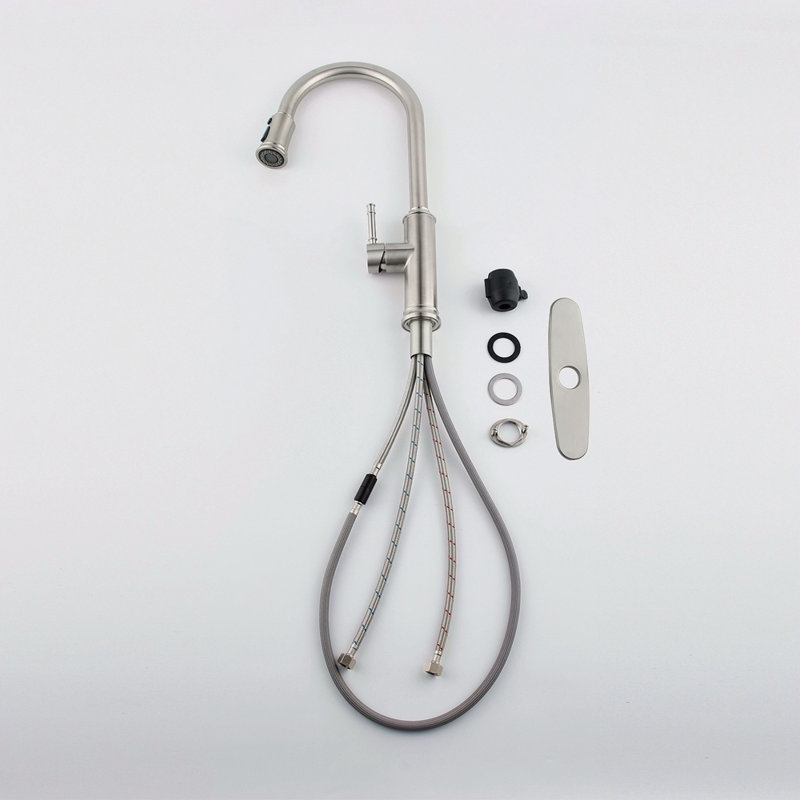 Kitchen Faucet With Pull Down Sprayer