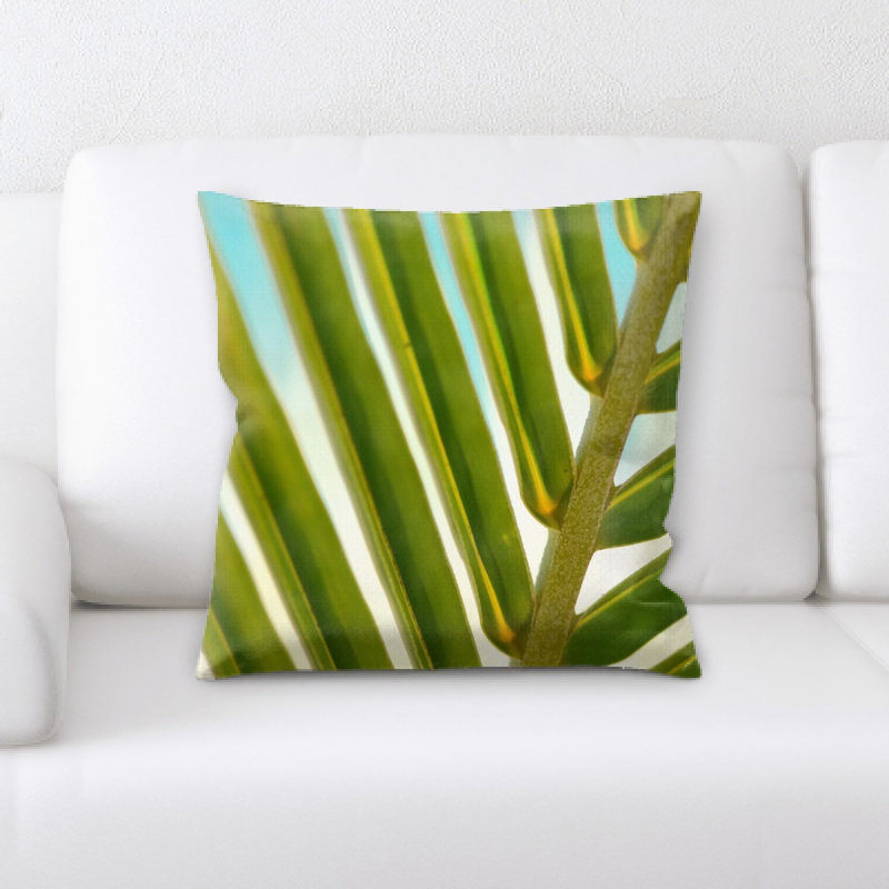 Coussin de plante