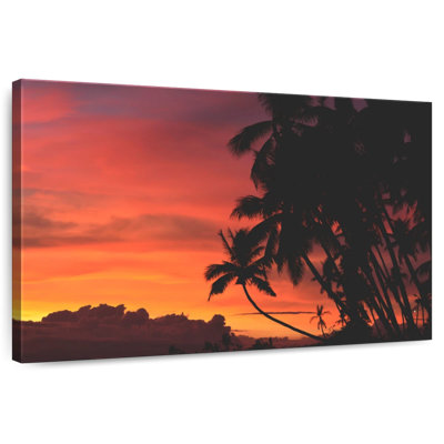 Alvord Florida Tropical Sky